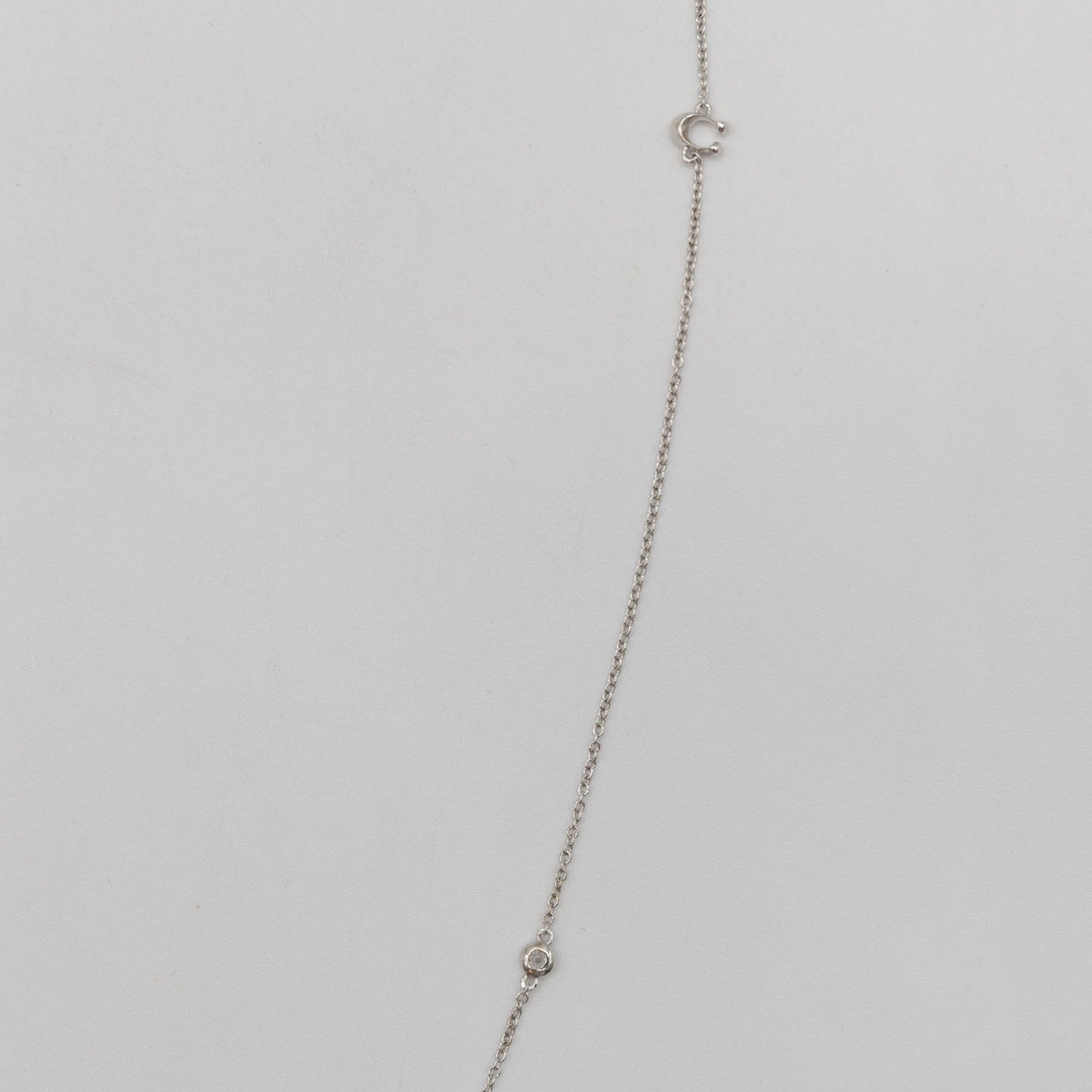 COACH - Signature Chain Long Necklace
