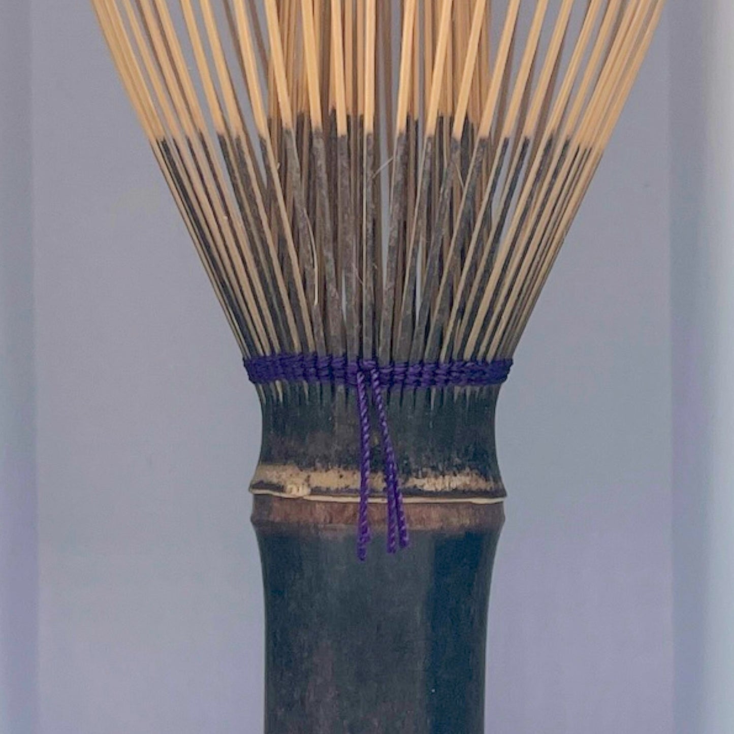 Takayama Chasen - Black Bamboo Whisk - Foaming Chasen Colored Thread