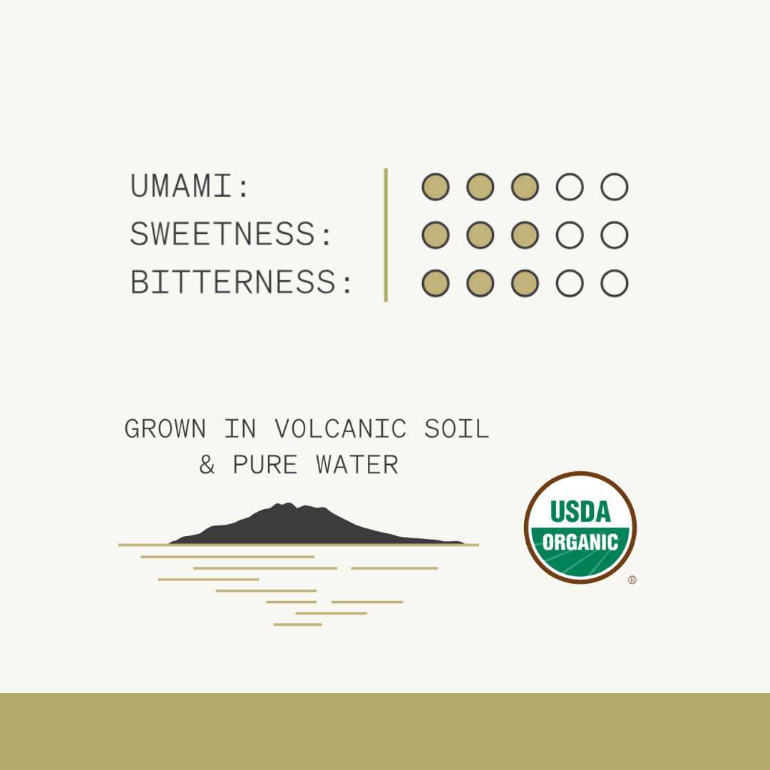 Luna Matcha Starter Kit, Symphony Matcha & Seikinyo