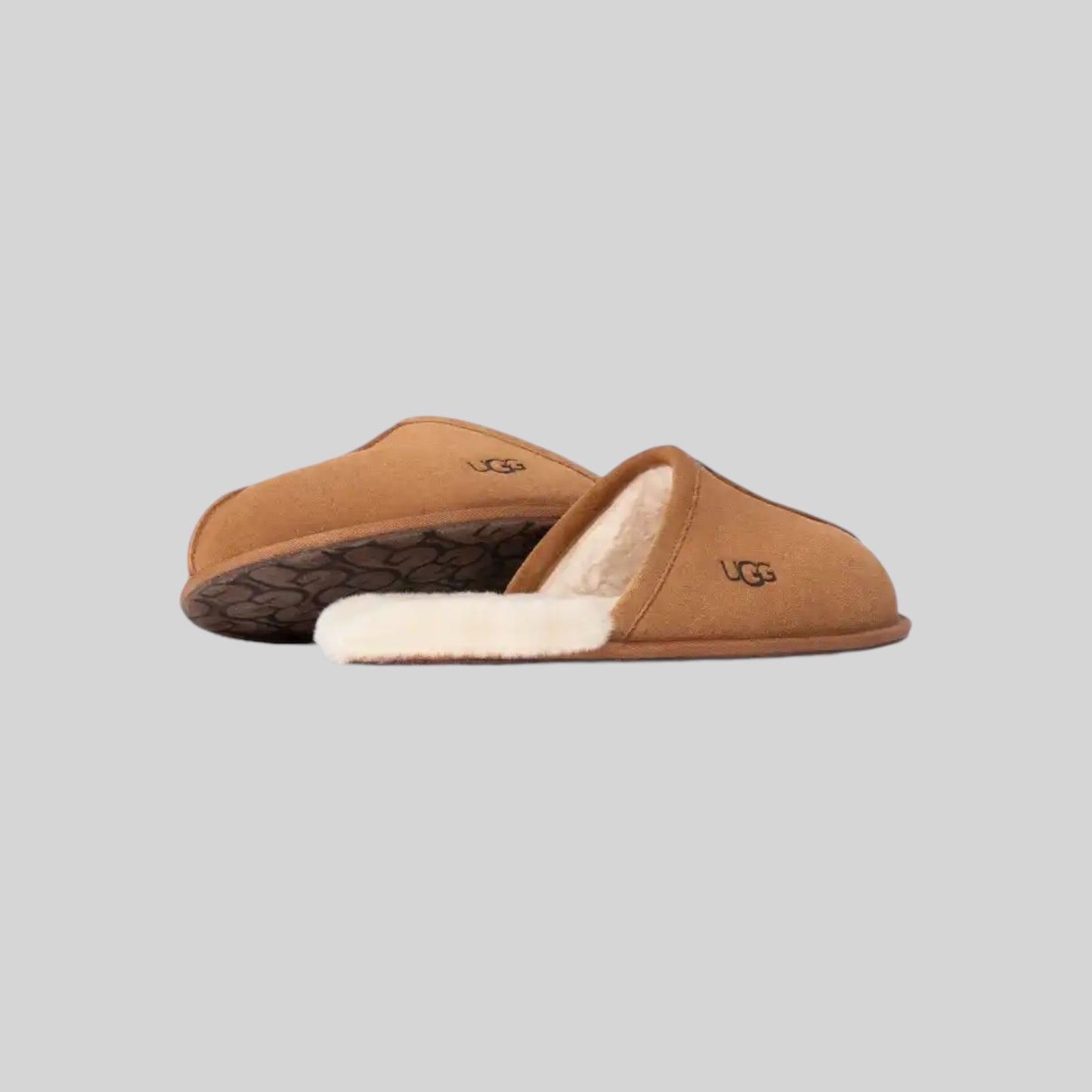 UGG - Scuff Leather - Chestnut