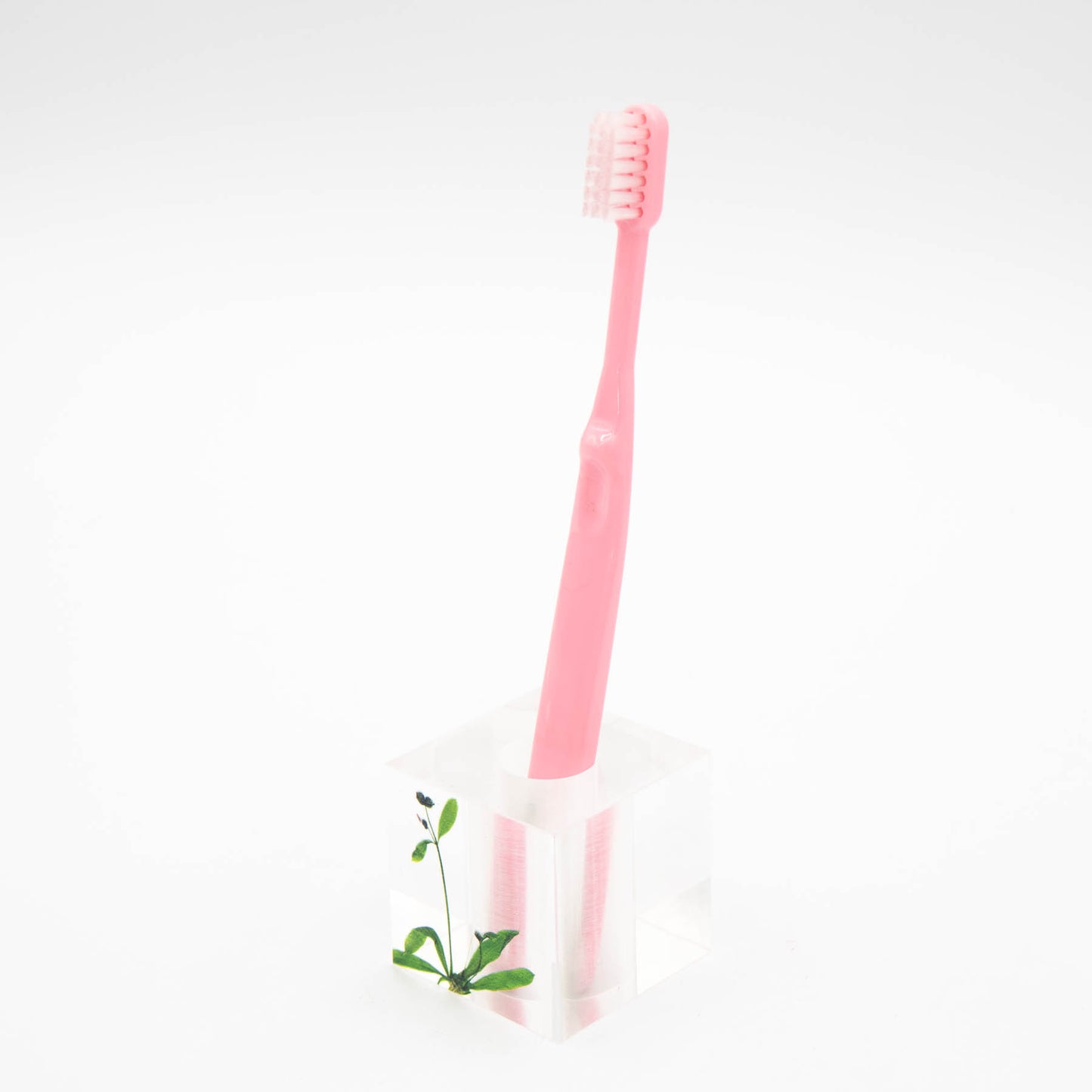 Toumei - Oshibana Toothbrush Holder - Commelina Communis