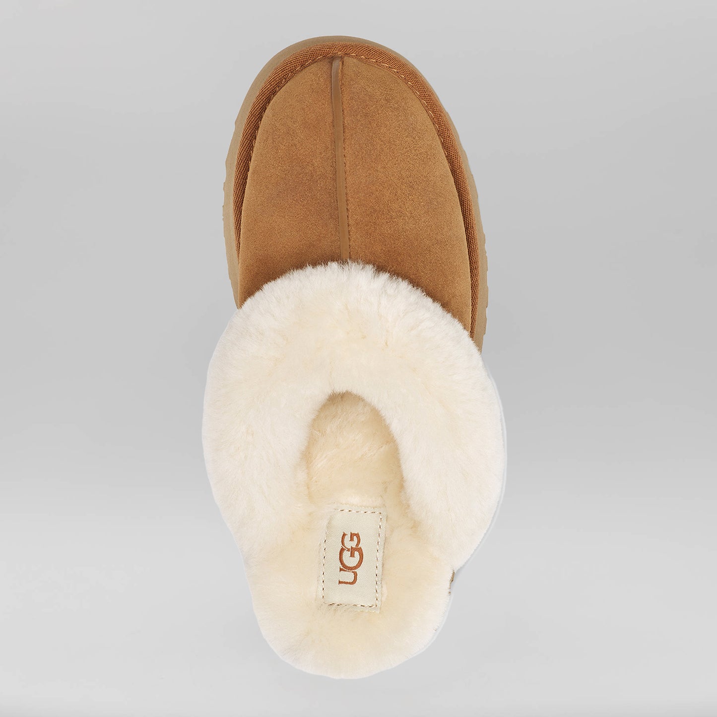 UGG - Disquette - Chestnut